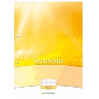 Bloc de cours SPLENDID A4 70gr commercial