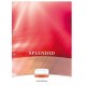 Bloc de cours SPLENDID A4 70gr quadrillé 10mm